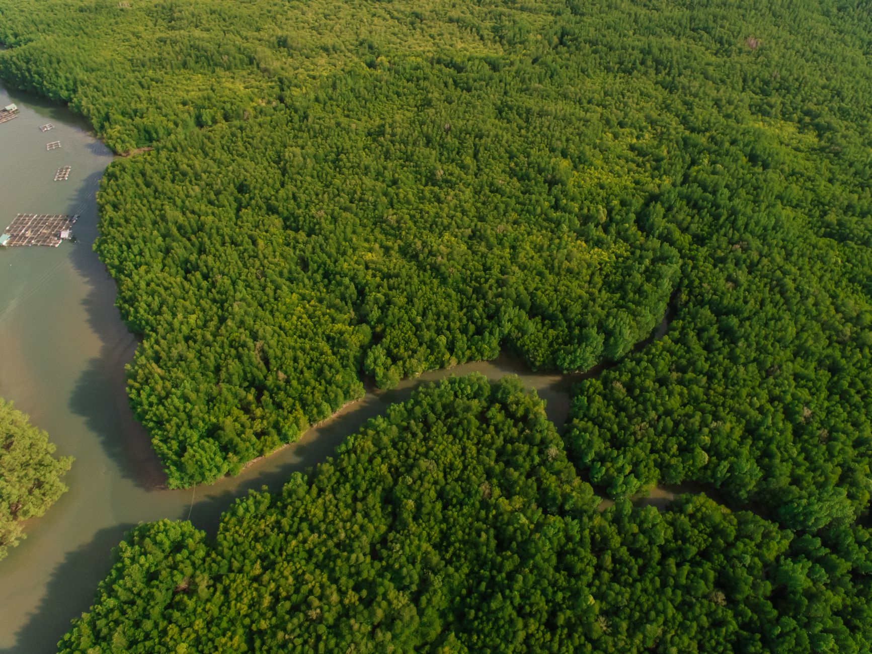 Our approach to bioresilience