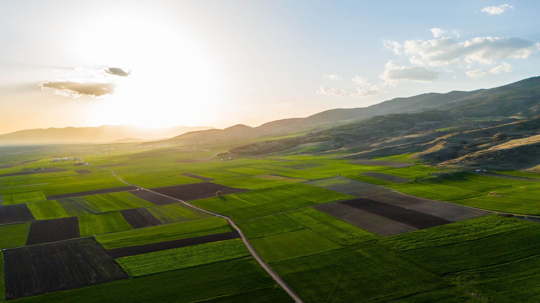 NVIDIA and Local AI Community Fuel Open Source Models and Intelligent Agents