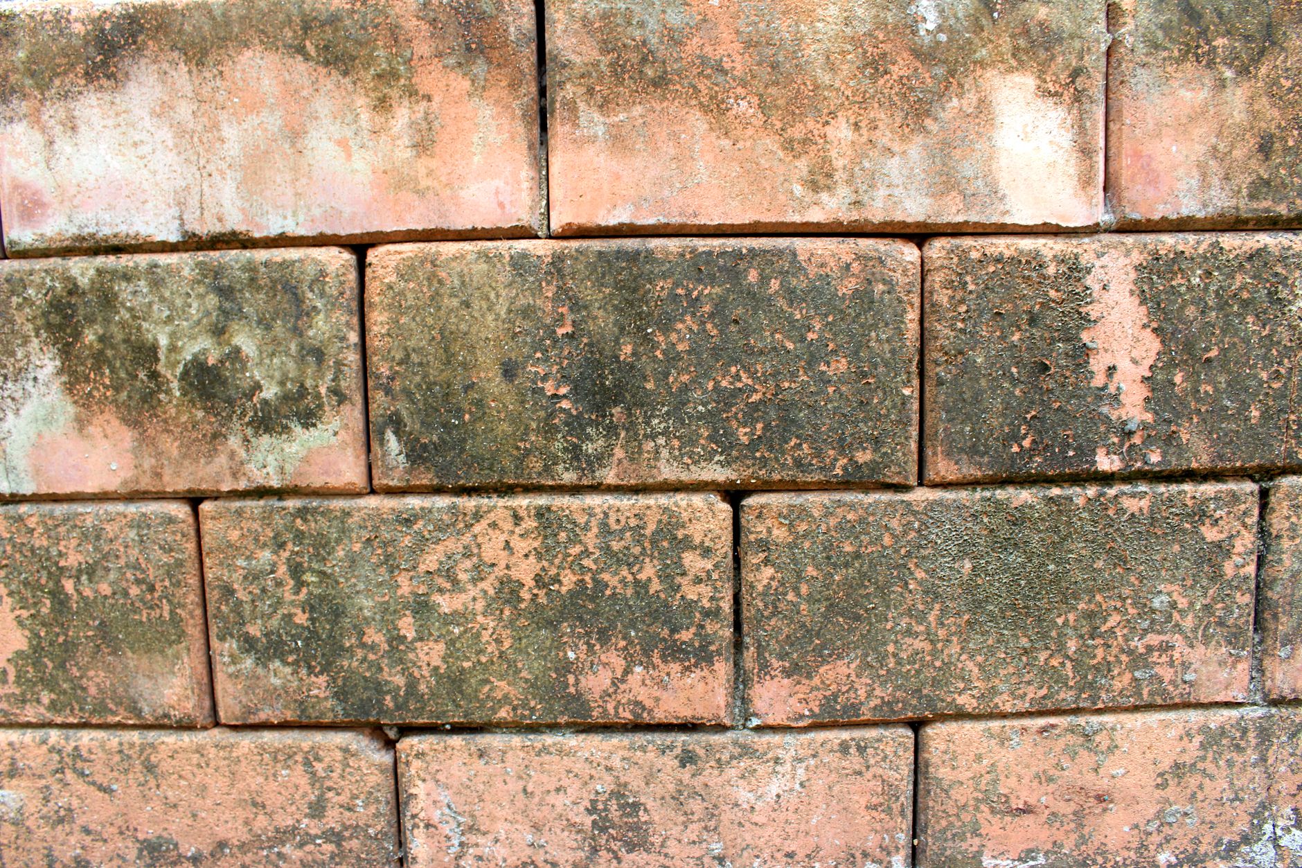 Building Blocks for Foundation Model Training and Inference on AWS