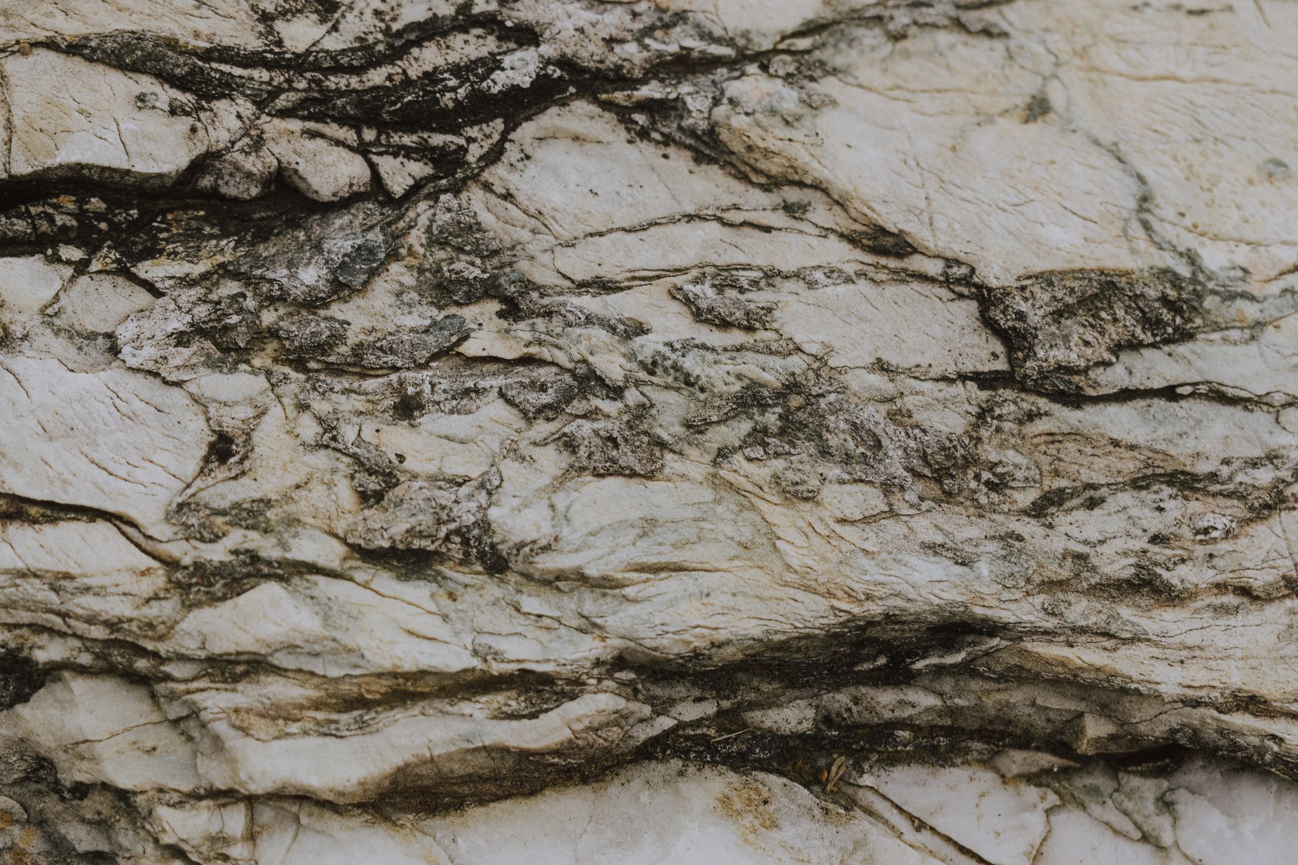 Granite 4.1 LLMs: How They’re Built