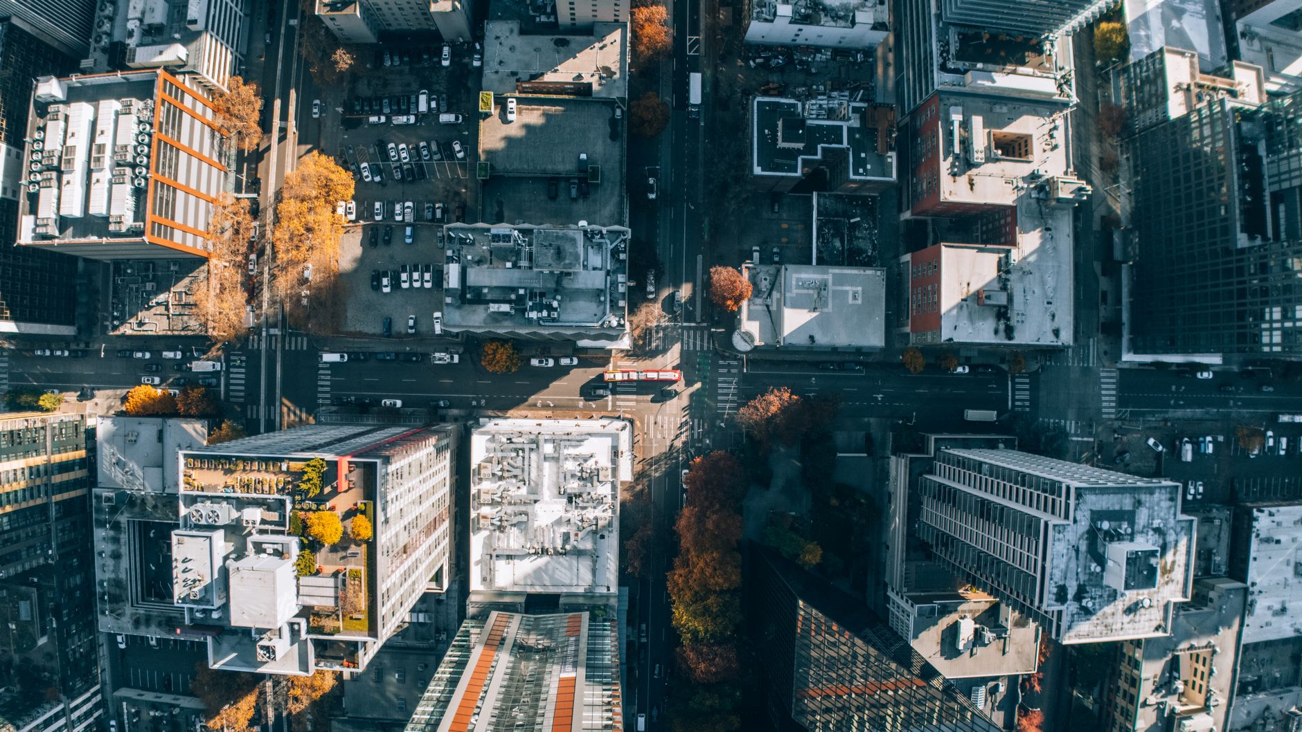 7 Regression Tests Every AI Agent Should Pass Before Deploy