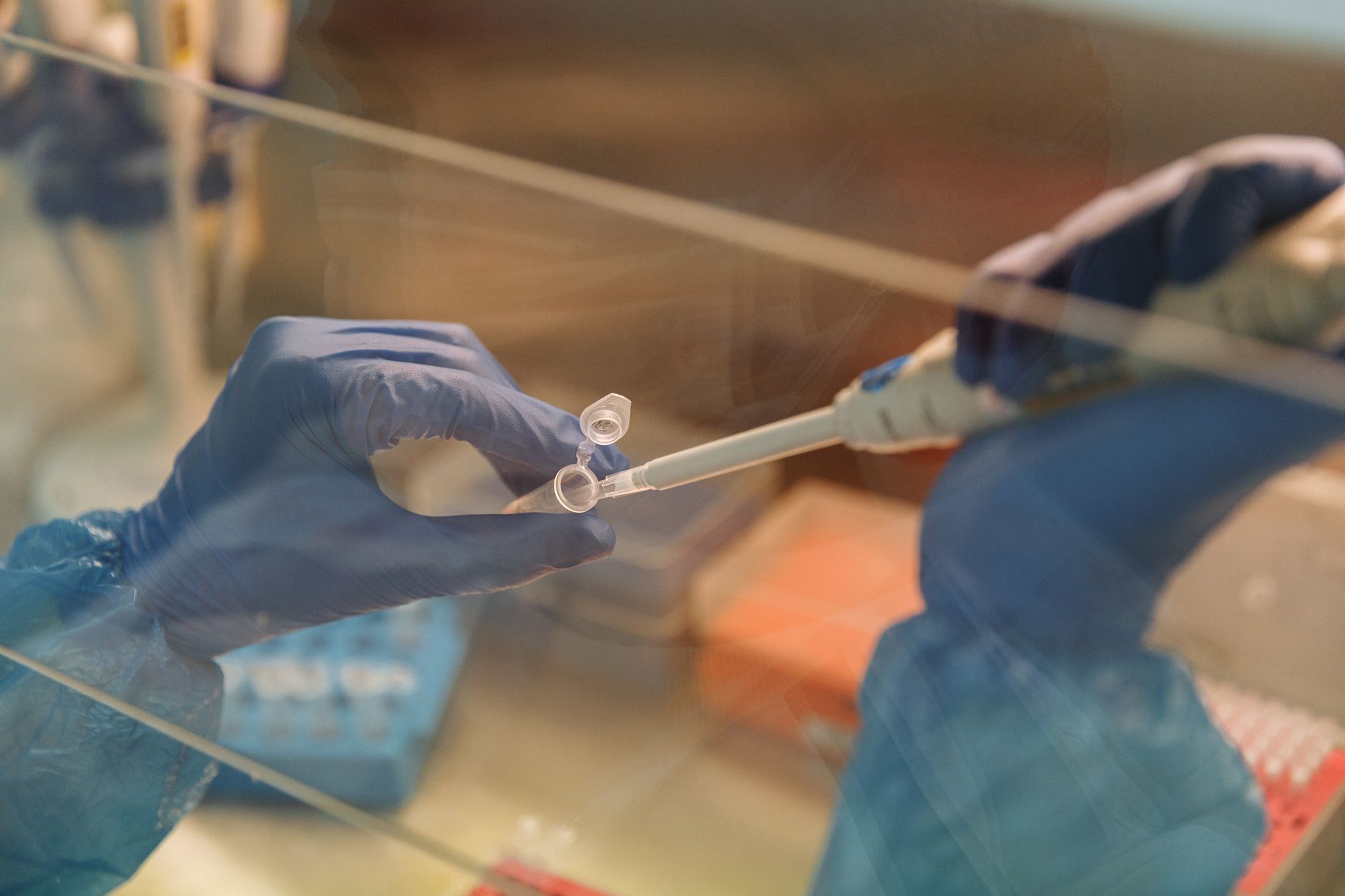 Revealing a key protein behind heart disease