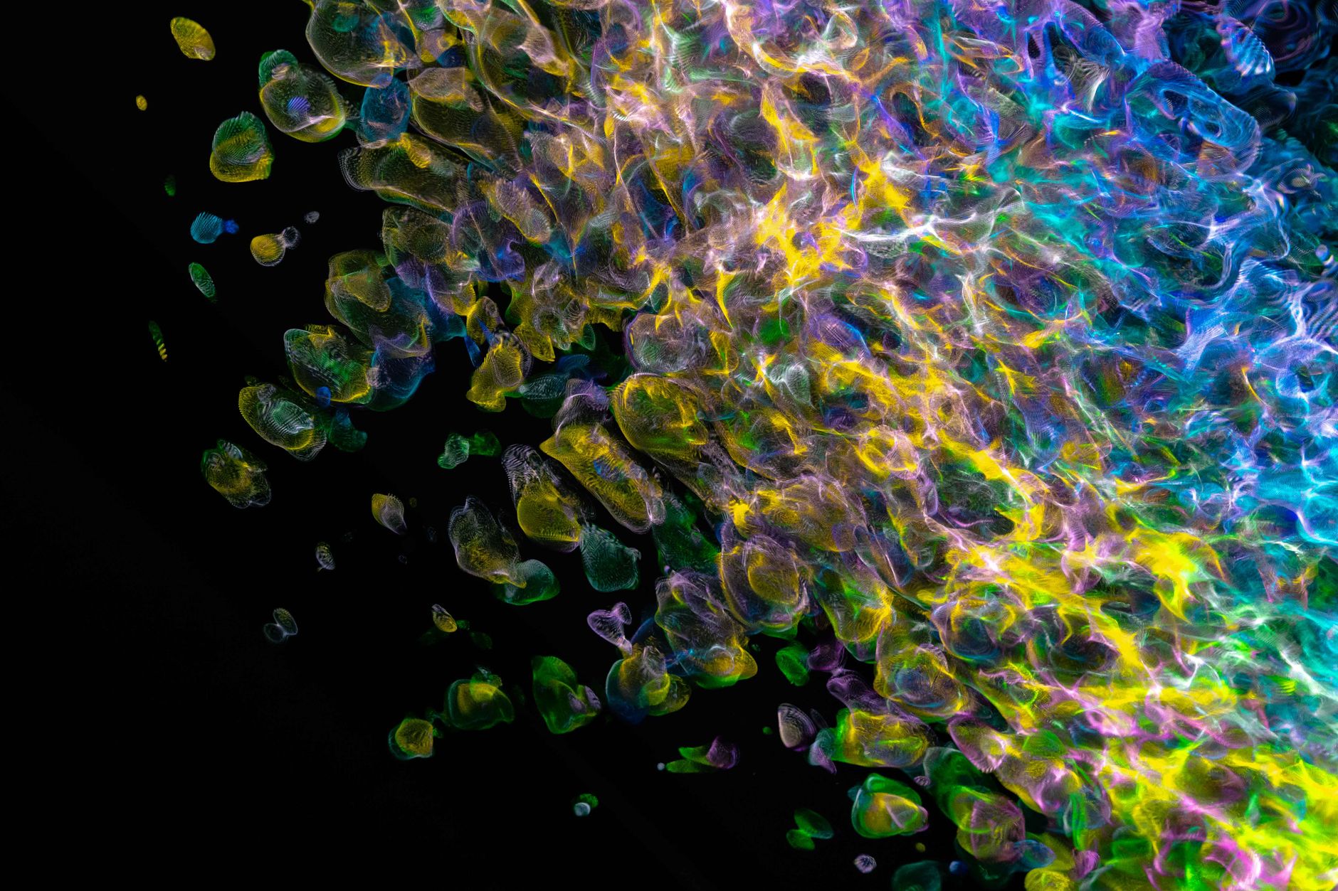 NVIDIA Cosmos Reason 2 Brings Advanced Reasoning To Physical AI