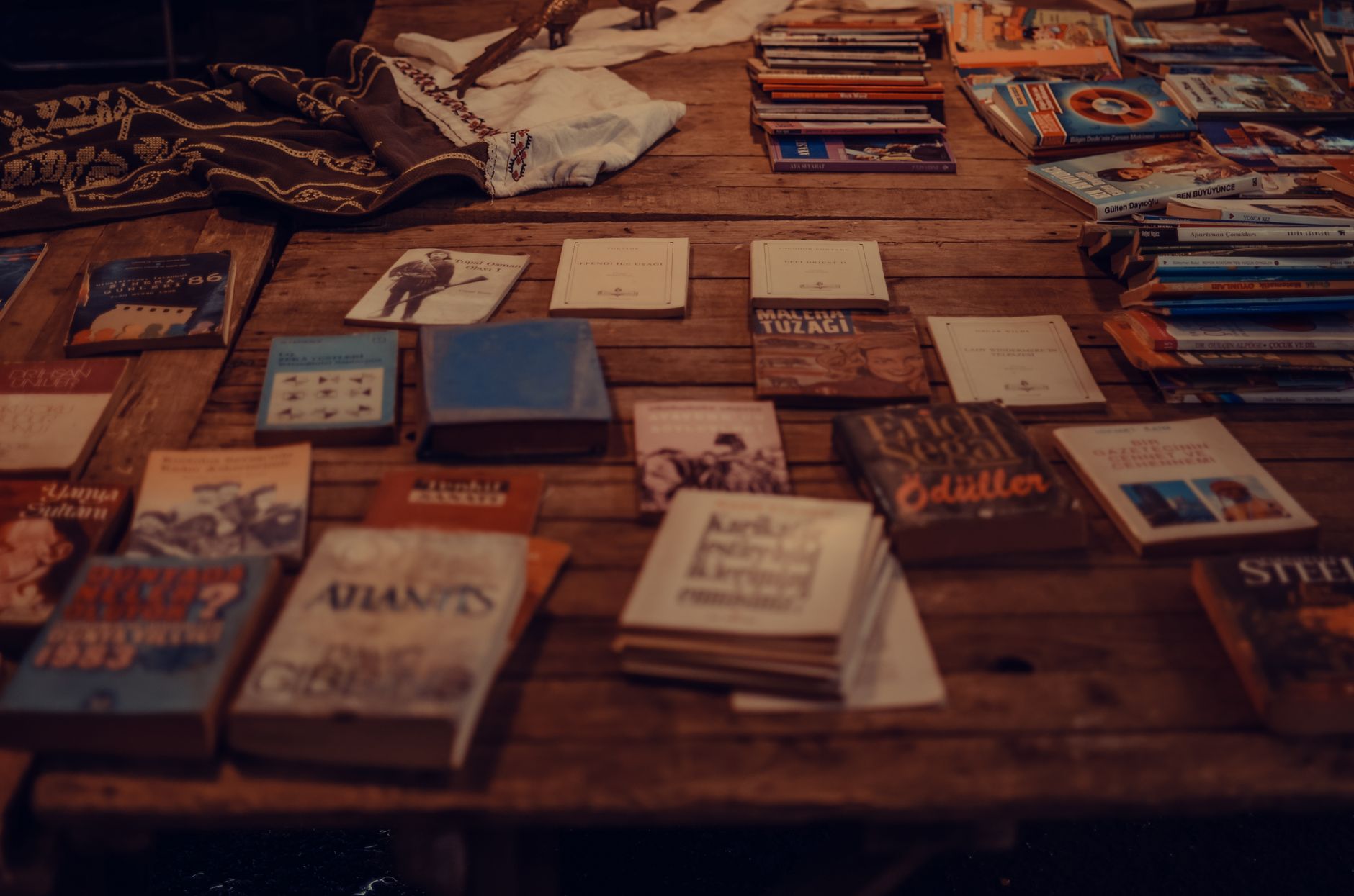 Interpretable Text Classification: Probing Scikit-LLM Embedding Spaces