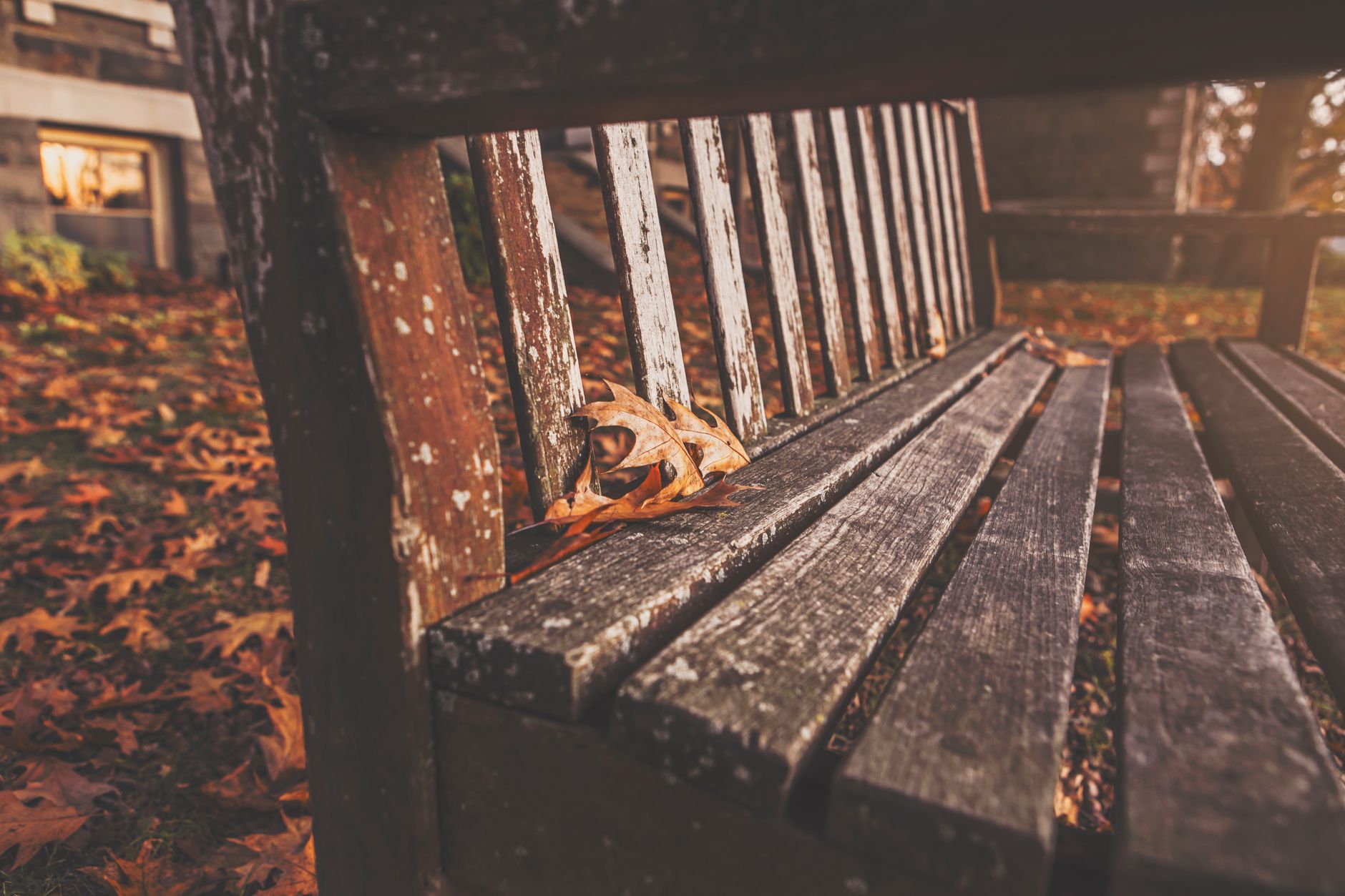 Bench shuts down, leaving thousands of businesses without access to accounting and tax docs