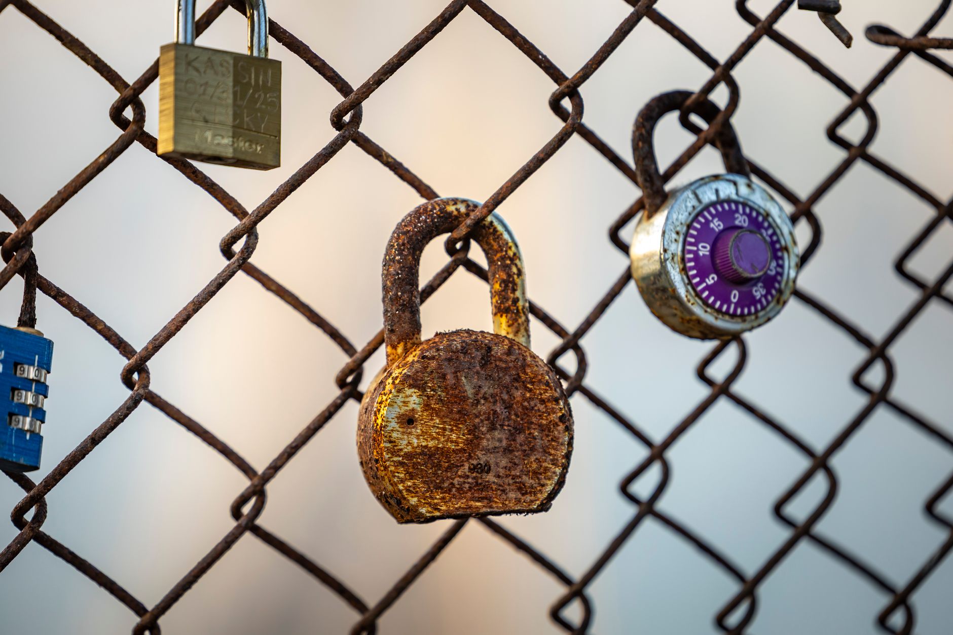 Secure all your internal vibe-coded applications — in one click