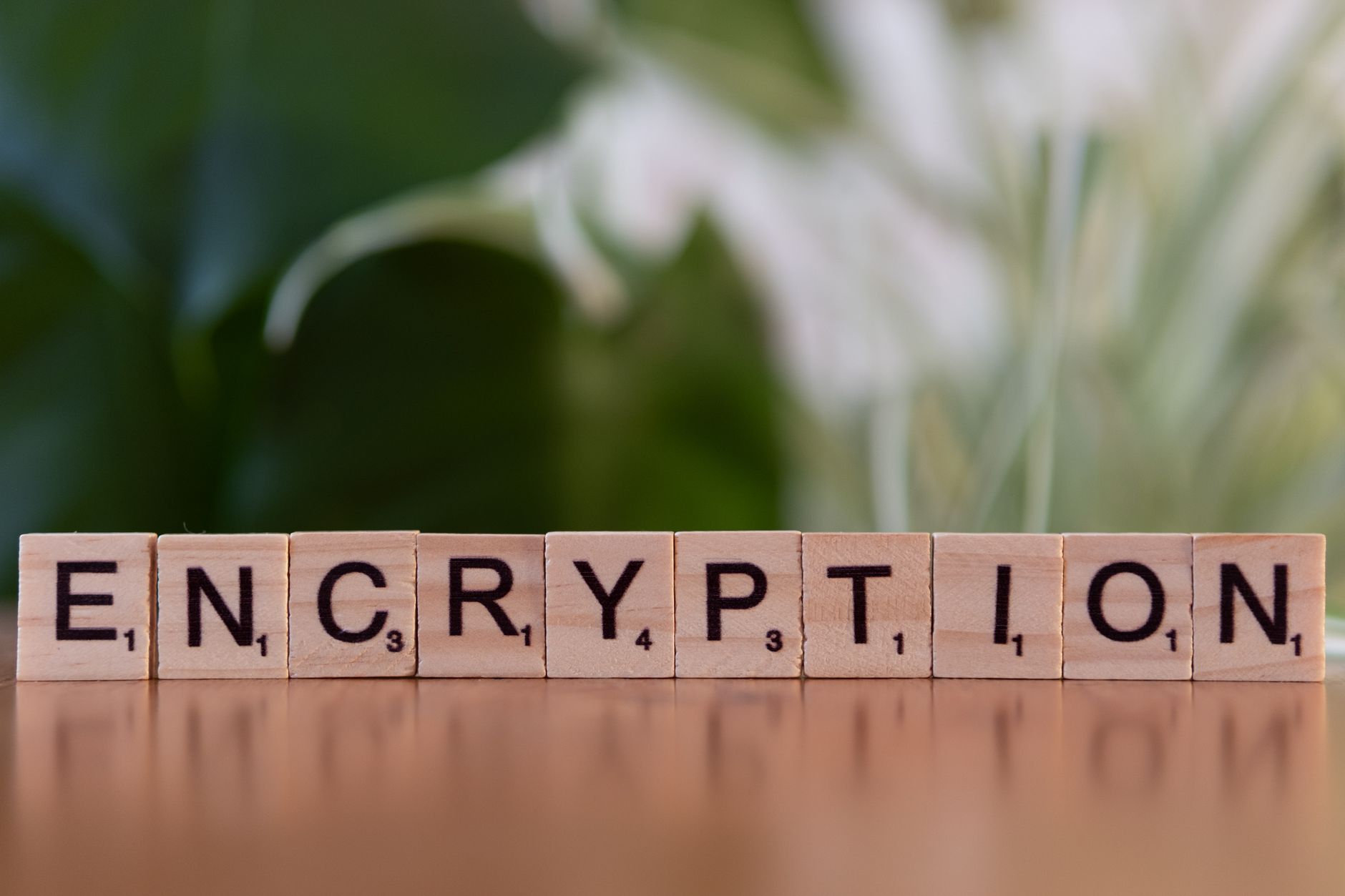 SED News: OpenCode, AI Code vs. Shipped Code, and the LiteLLM Breach