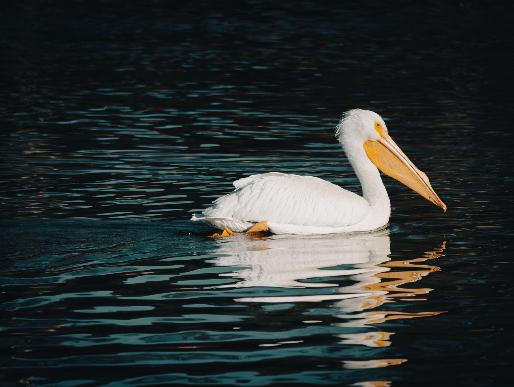 PostgreSQL 19 Beta 3 is now available in Amazon RDS Database Preview Environment