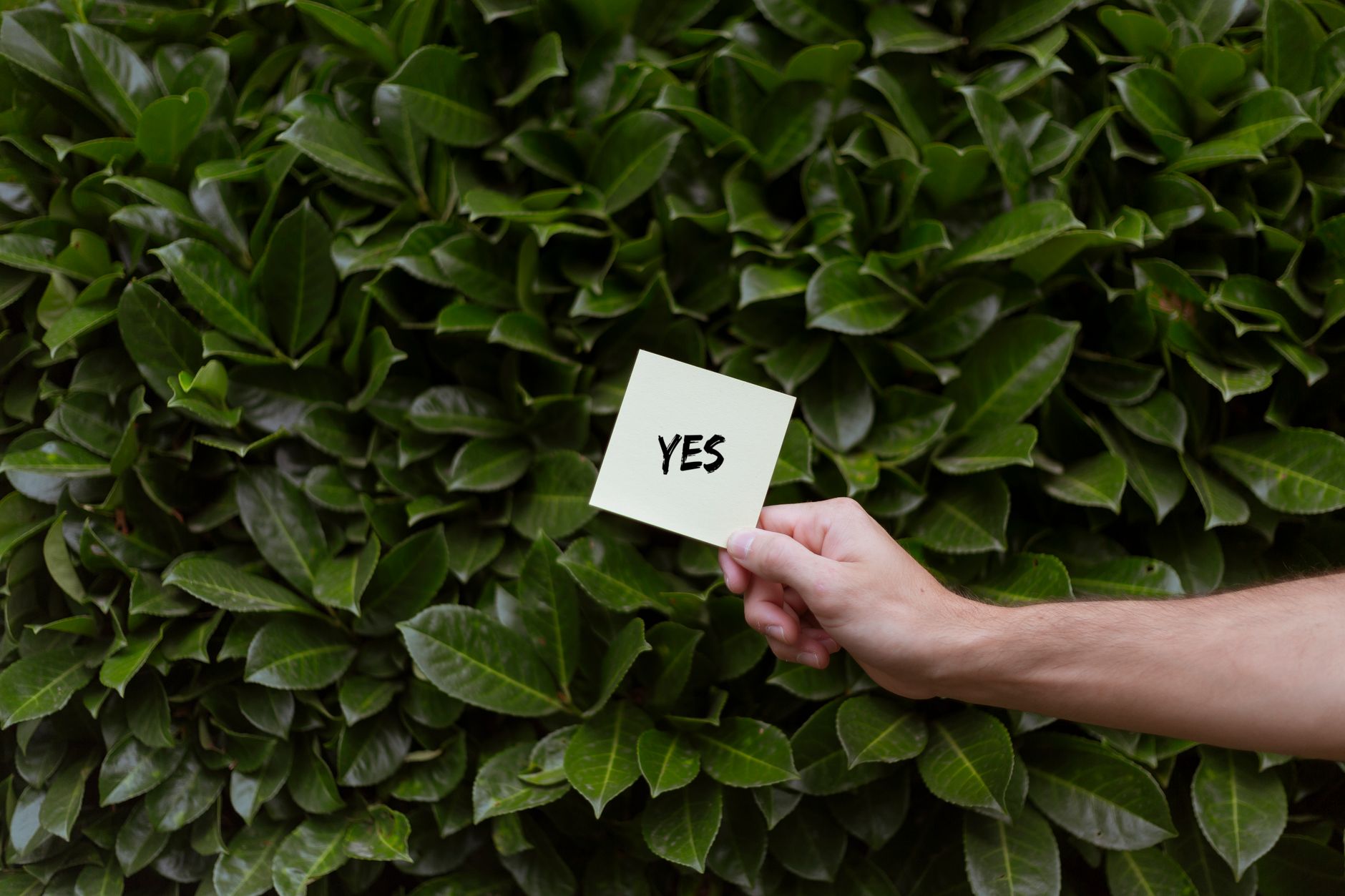 Dear SaaStr: What Do You Have to Get Right in a Start-Up?