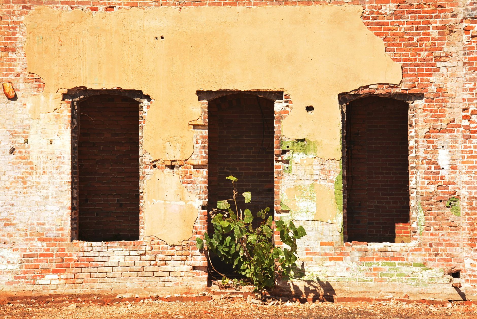 Lazarus Exploits Windows Zero-Day to Gain SYSTEM Access and Deploy Backdoor