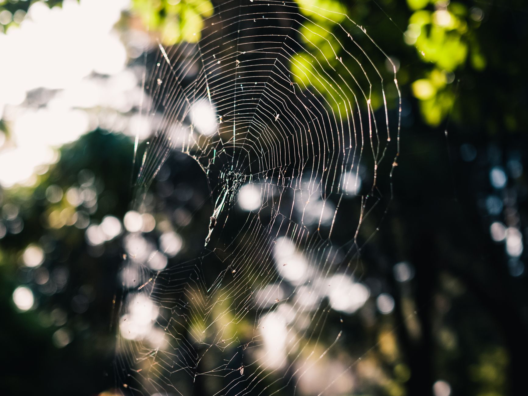 Threat Hunting: A Guide | Recorded Future