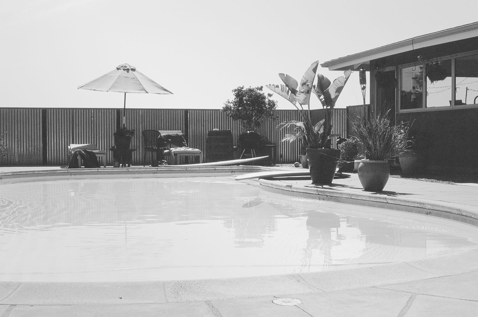 Scans for Solana (Surfpool?) Endpoints, (Mon, Aug 10th)
