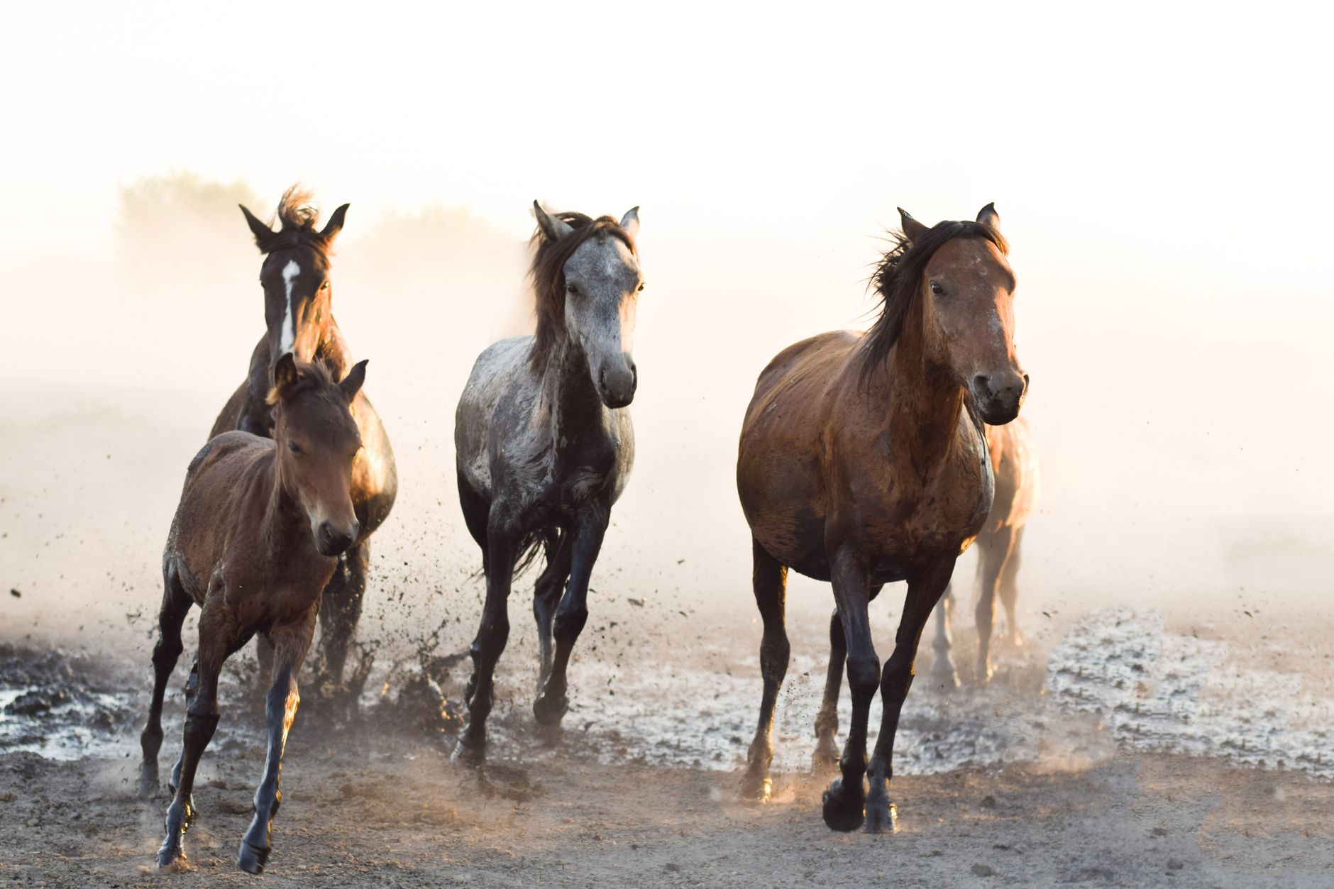 The Good, the Bad and the Ugly in Cybersecurity – Week 33