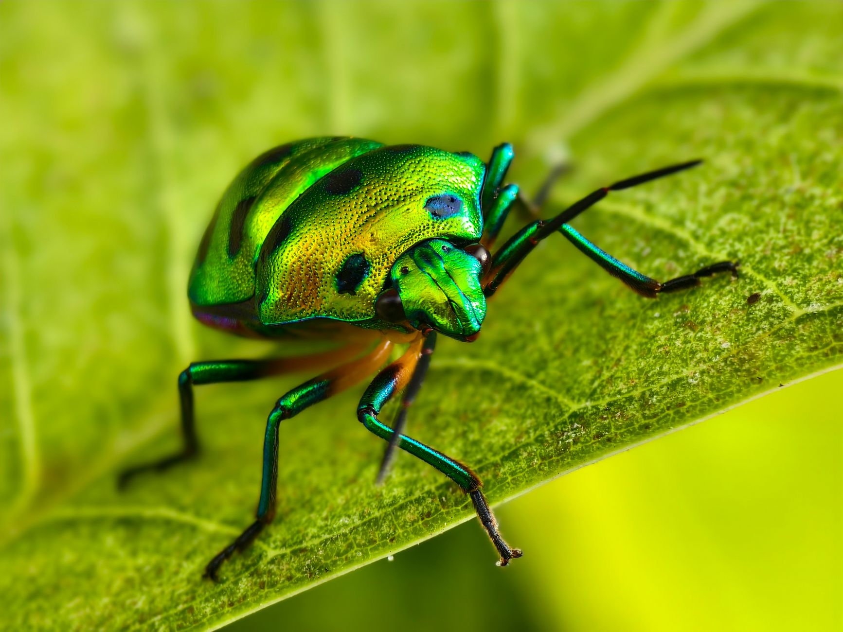 Researchers Link 'Jewelbug' Chinese APT to Hack-for-Hire Operations