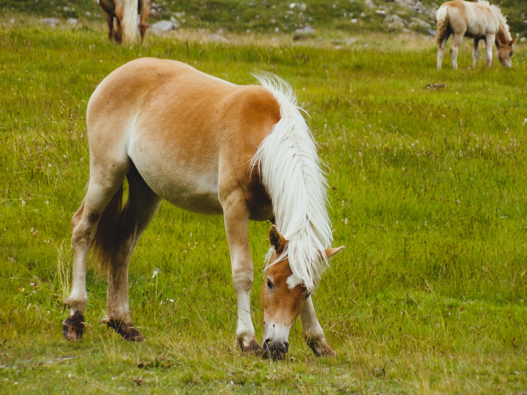 The long tail of Clop’s PTC hack is just beginning to emerge