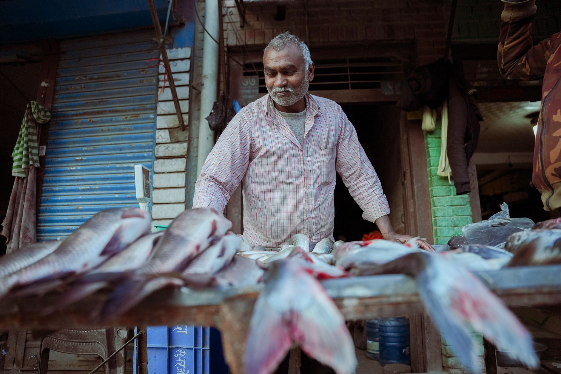 FishMonger’s arsenal upgraded: SprySOCKS for Windows