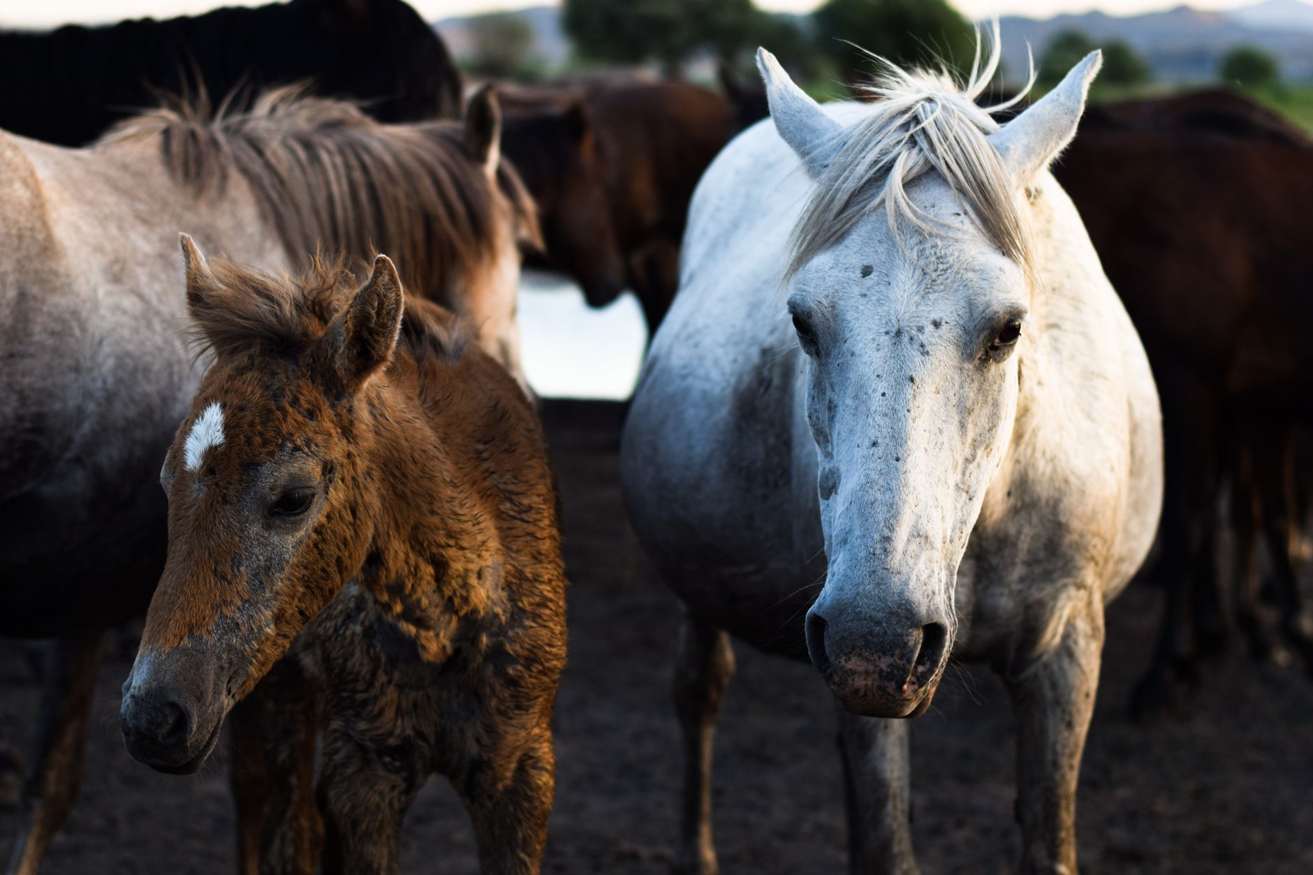 The Good, the Bad and the Ugly in Cybersecurity – Week 34