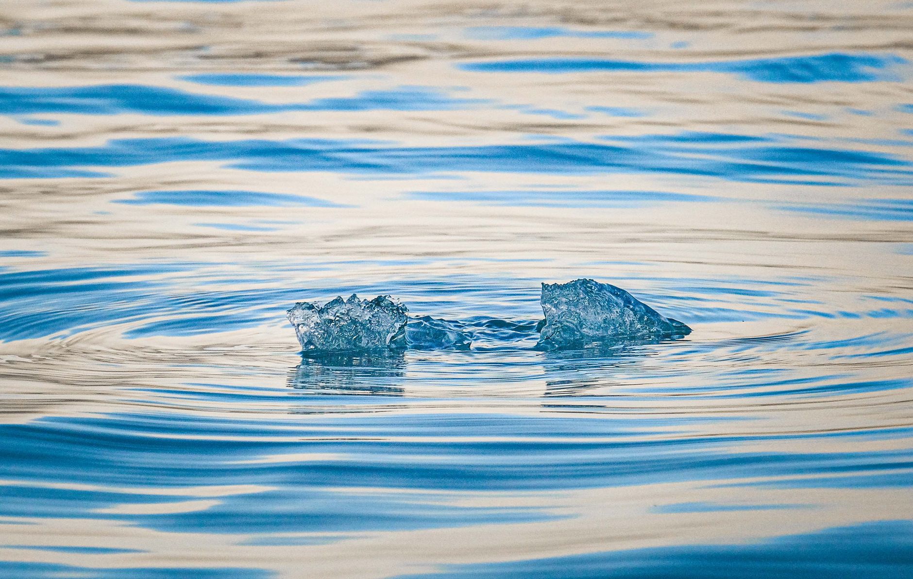 ICE Collecting DNA Samples