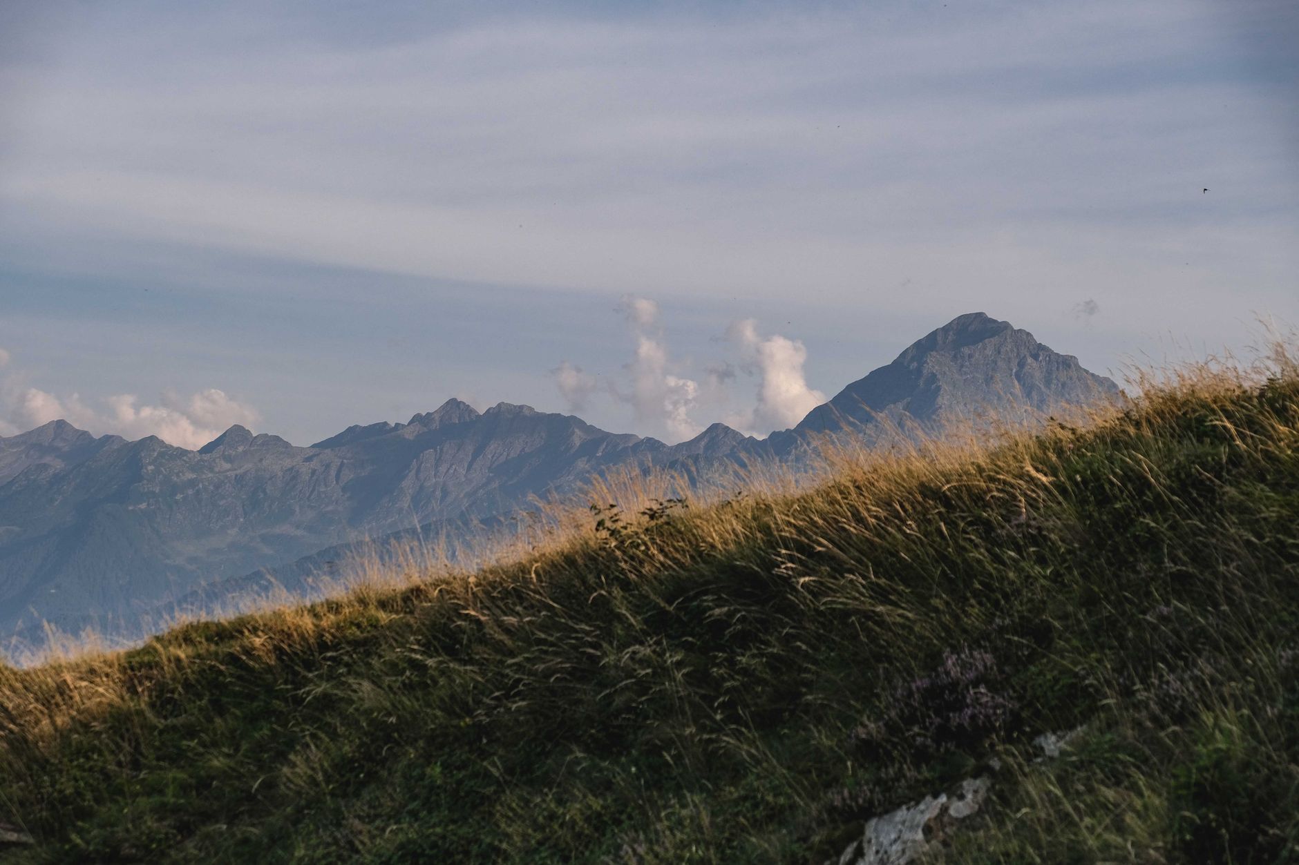A week in security (August 17 – August 23)