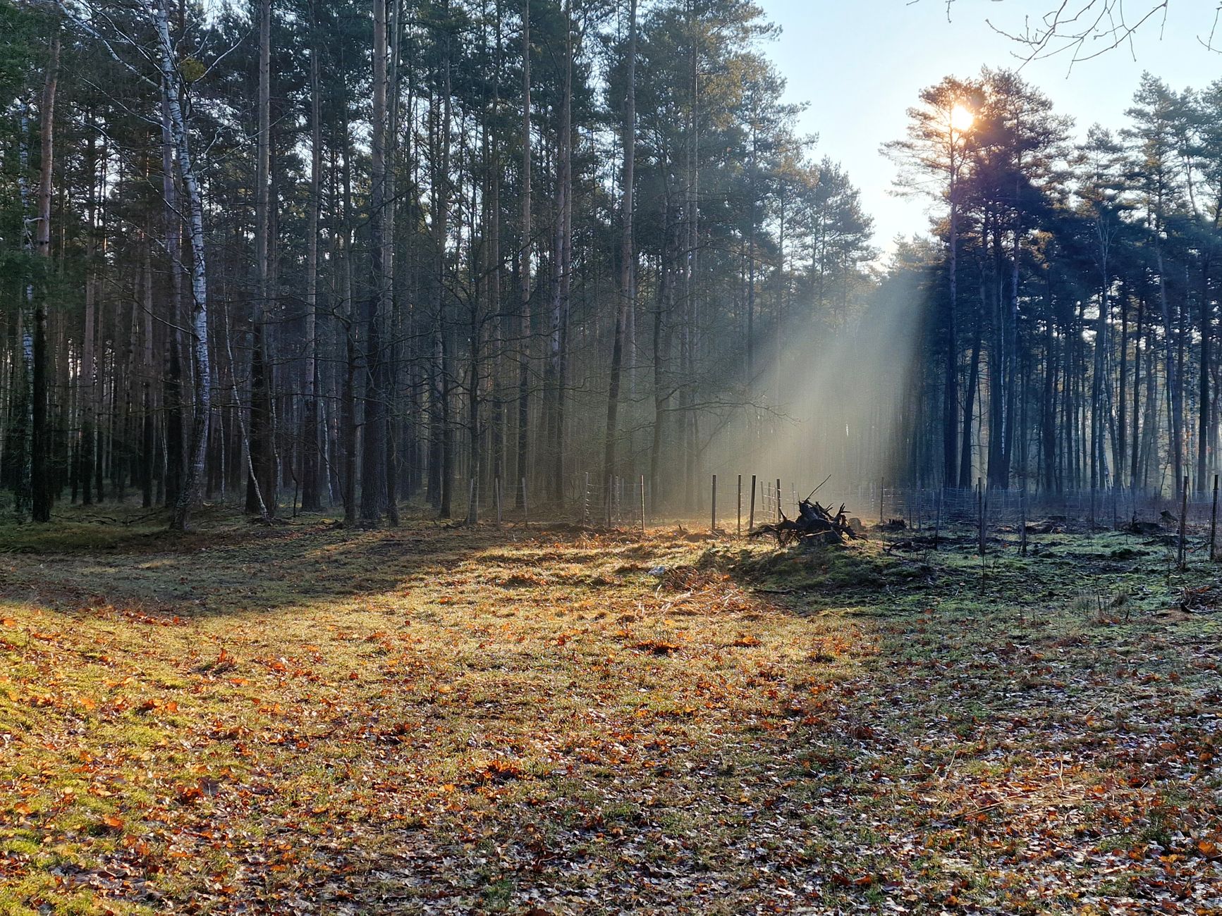 Why LinkedIn is a hunting ground for threat actors – and how to protect yourself