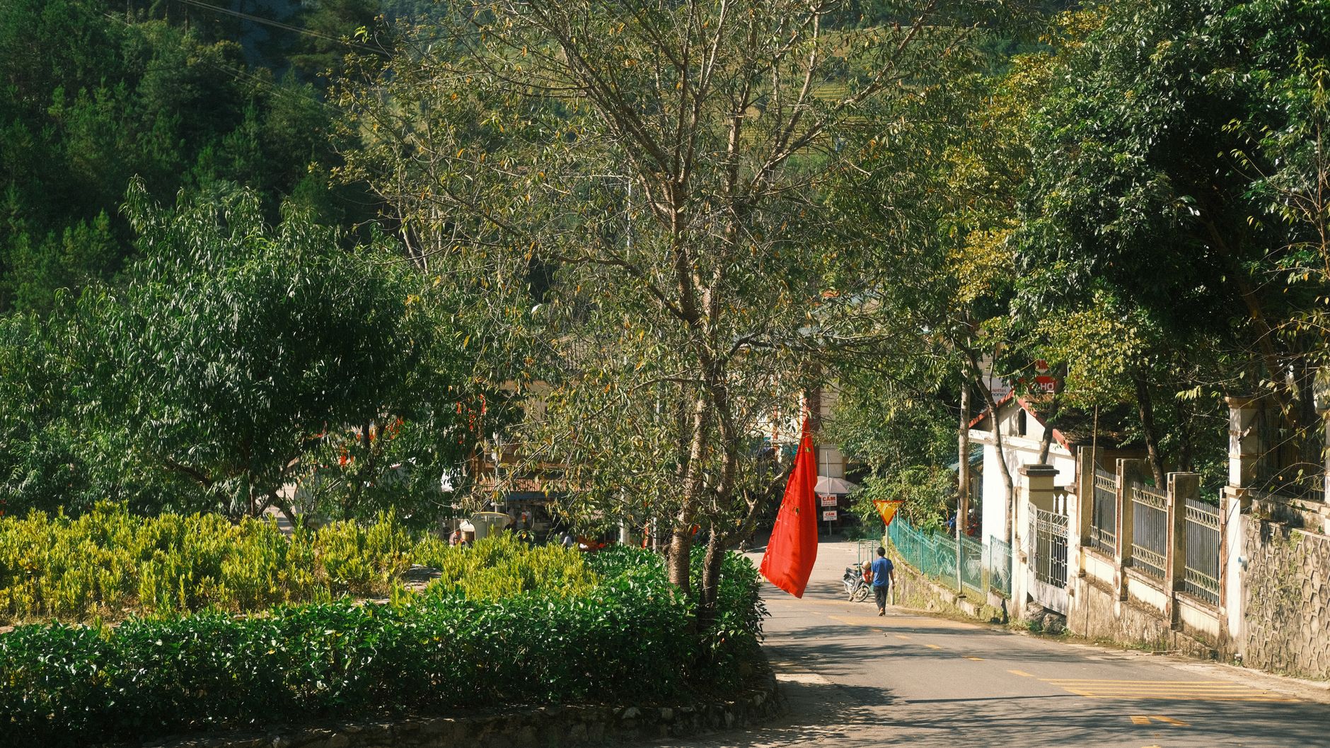 Red Flags That Expose Fake North Korean IT Workers