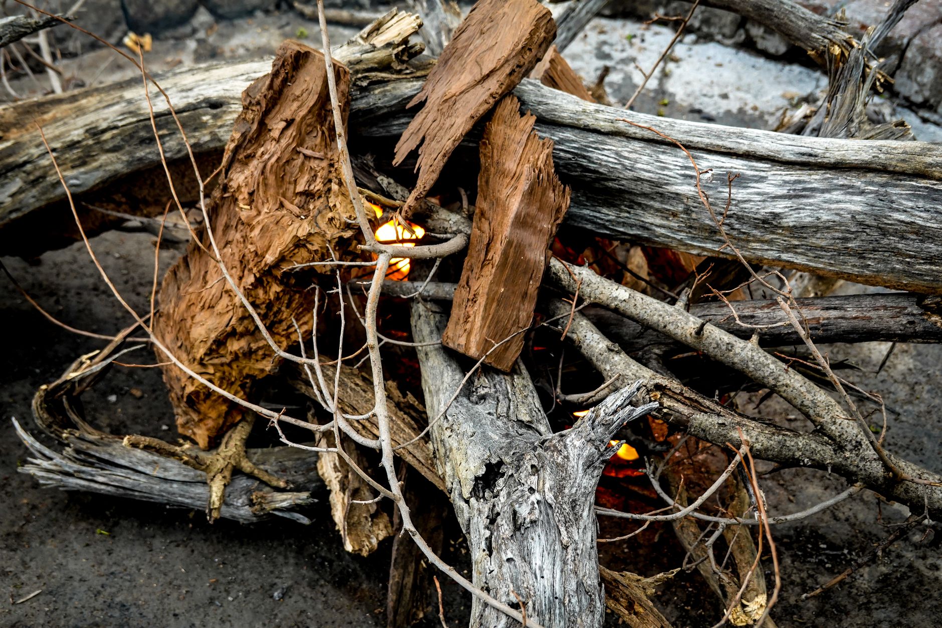 China-Linked Fire Ant Hijacks Cisco Routers to Steal Credentials and Blind Security Logs