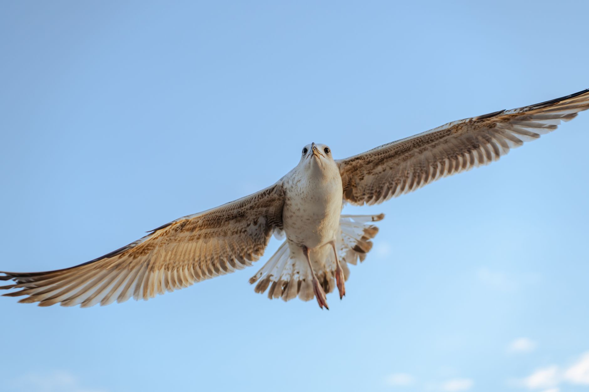 CrowdStrike Announces Agentic Identity Provider