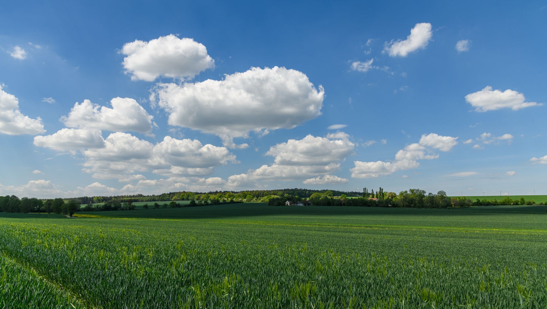 In Other News: Microsoft’s Cloud Patches, Hacked Dropbox Accounts, Guardio’s $1.1B Valuation