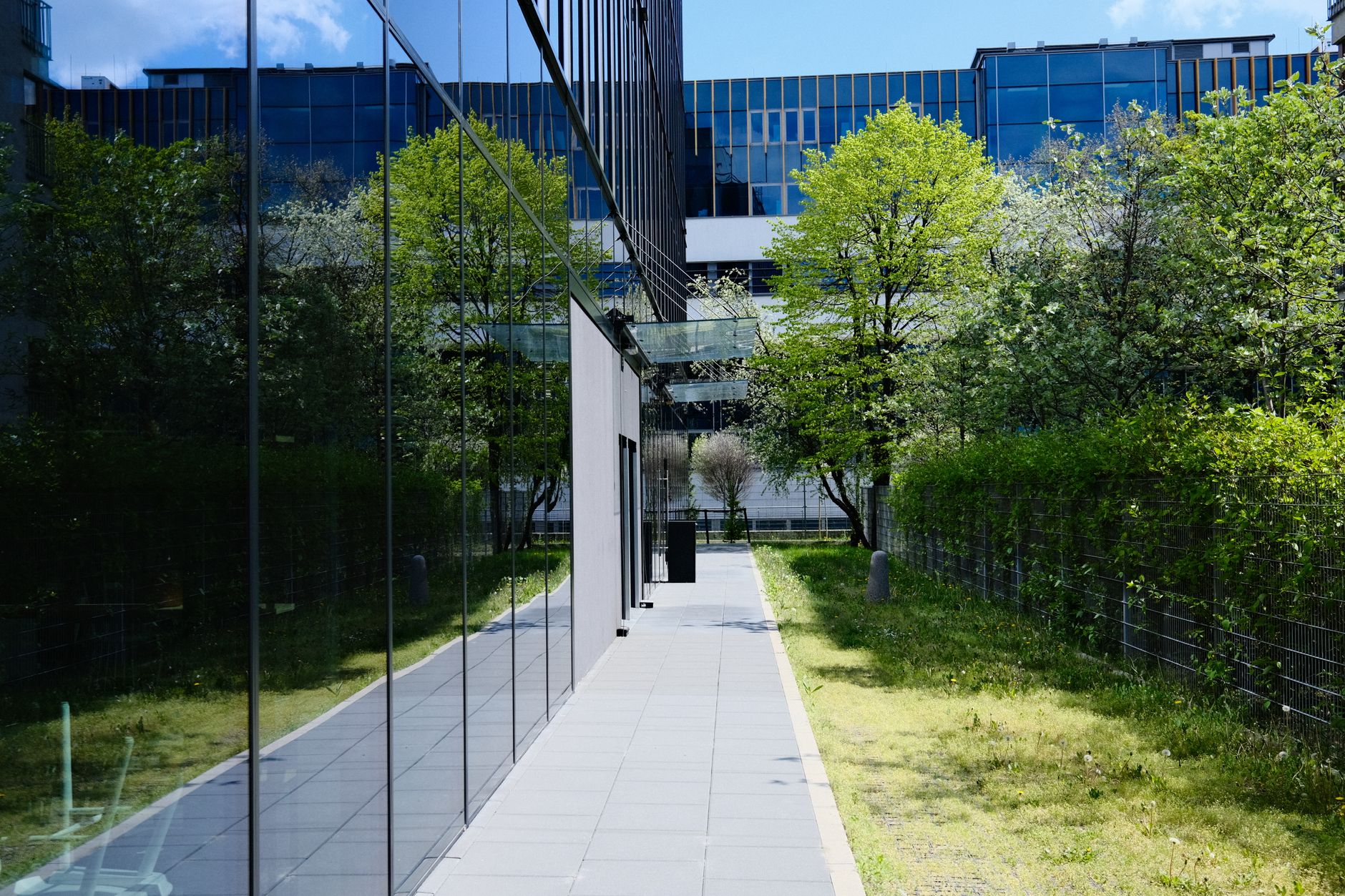 AI Access Control for Enterprise AI: Turning Policy Into Runtime Enforcement