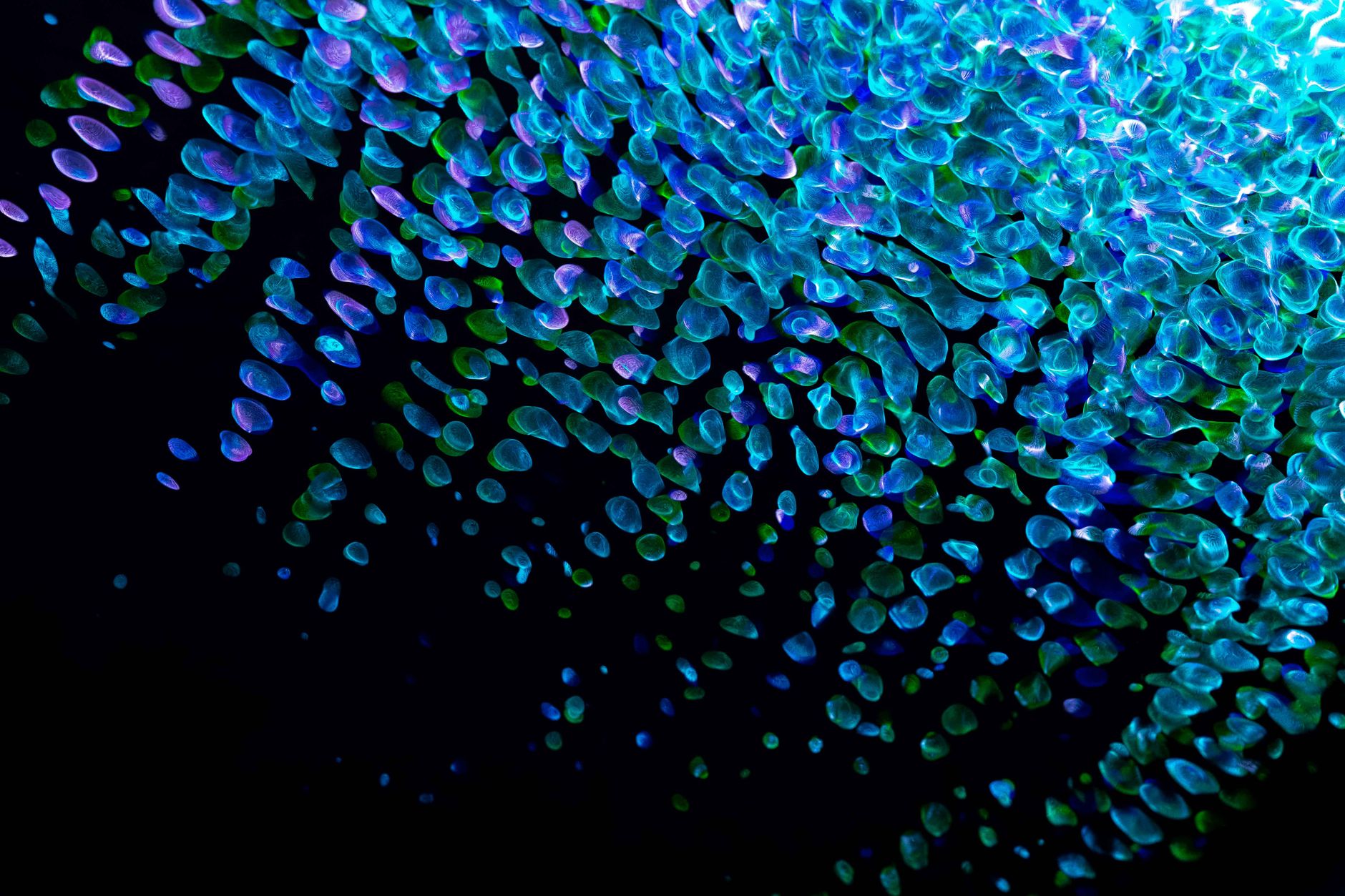 This Micro RGB TV rivals pricier OLED models - and I'd recommend it, especially on sale