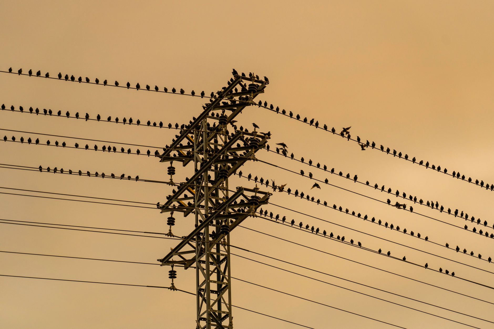 Flock is tightening its rules in response to a growing surveillance backlash