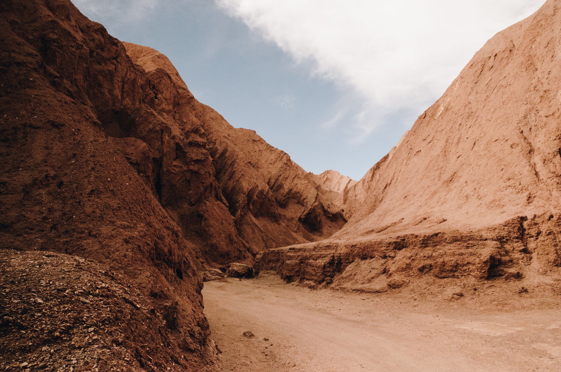 Life on Mars? It Remains a Tantalizing Topic for Scientific Study