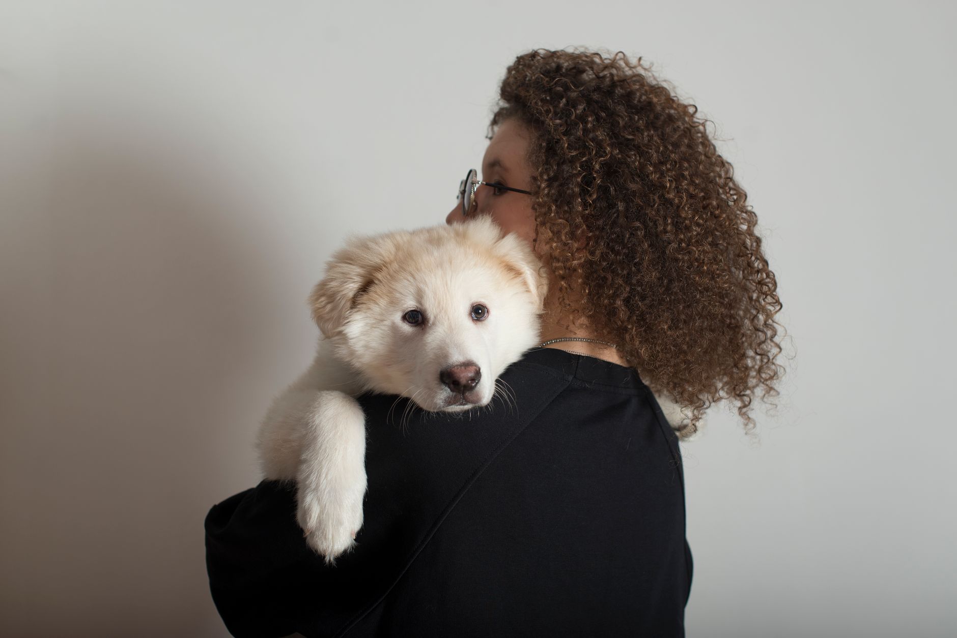 Petlibro accused of “gaslighting” users over smart pet feeder outage