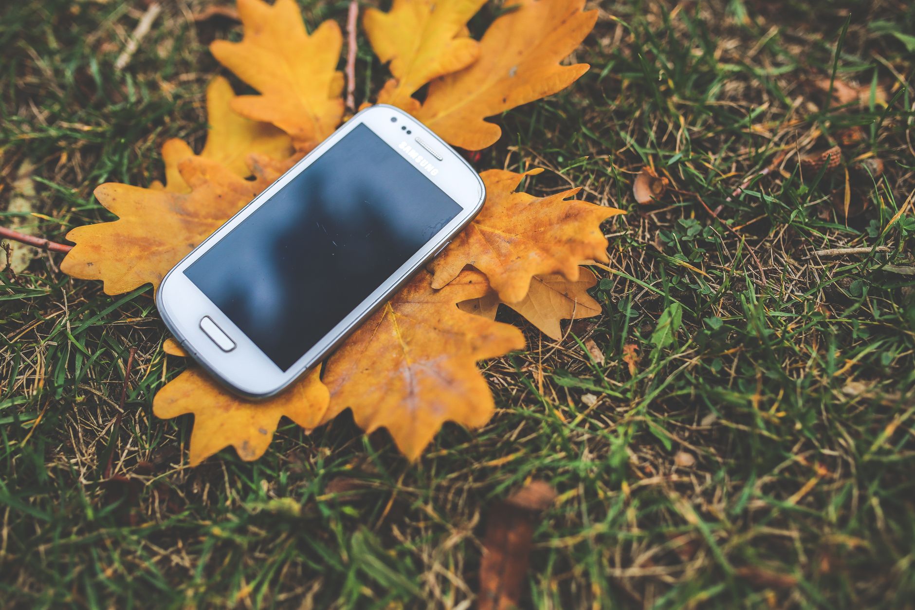 Some Pixel phones have forgotten how to Flip to Shhh