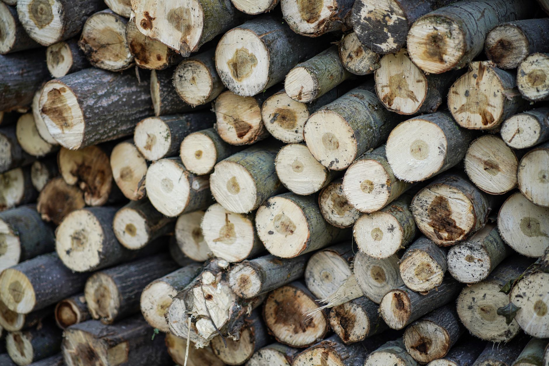 Log Level Design and Rotation: Why Apps Use DEBUG/INFO/WARNING/ERROR