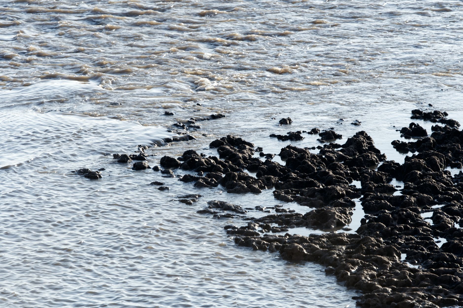 Seeing through murky waters