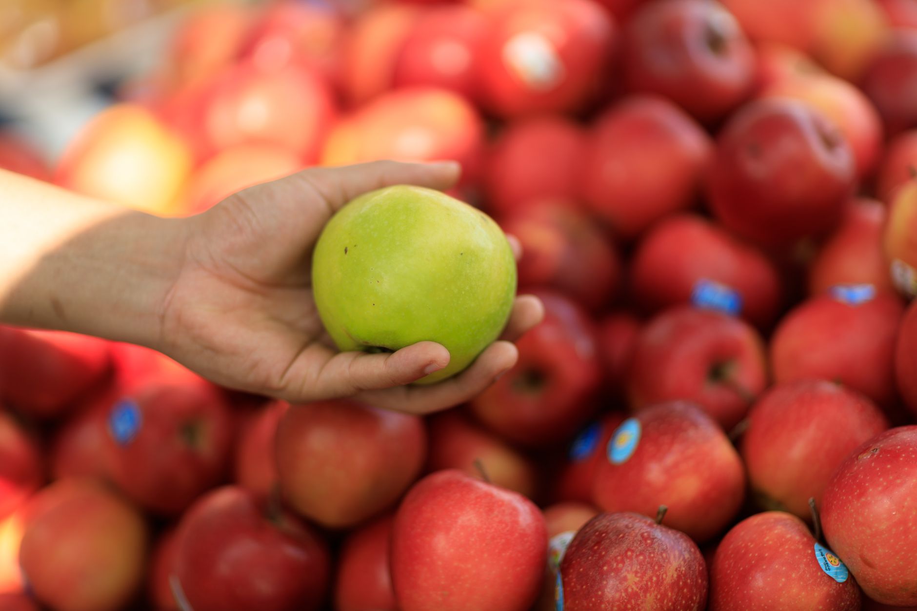 to Watch Apple’s ‘Surprise and Shine’ Event in September
