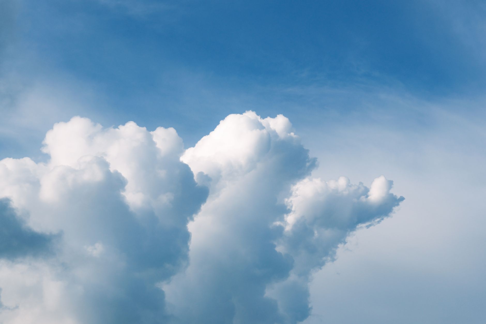 Bluesky adds an ‘algorithmic opt-out’ feature for those who don’t want to go viral