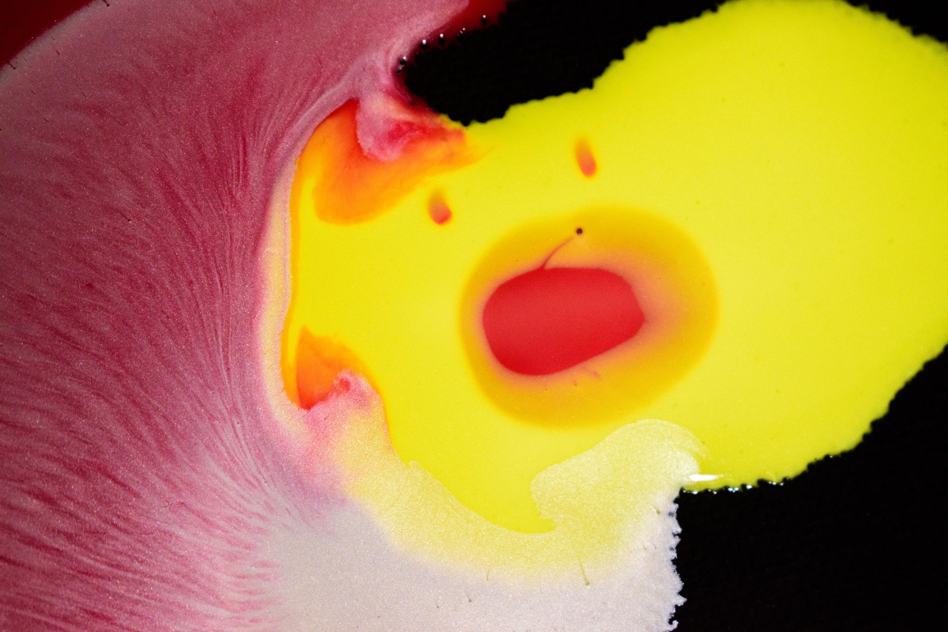 This video experiment perfectly illustrates my frustration with iPhone Cinematic mode