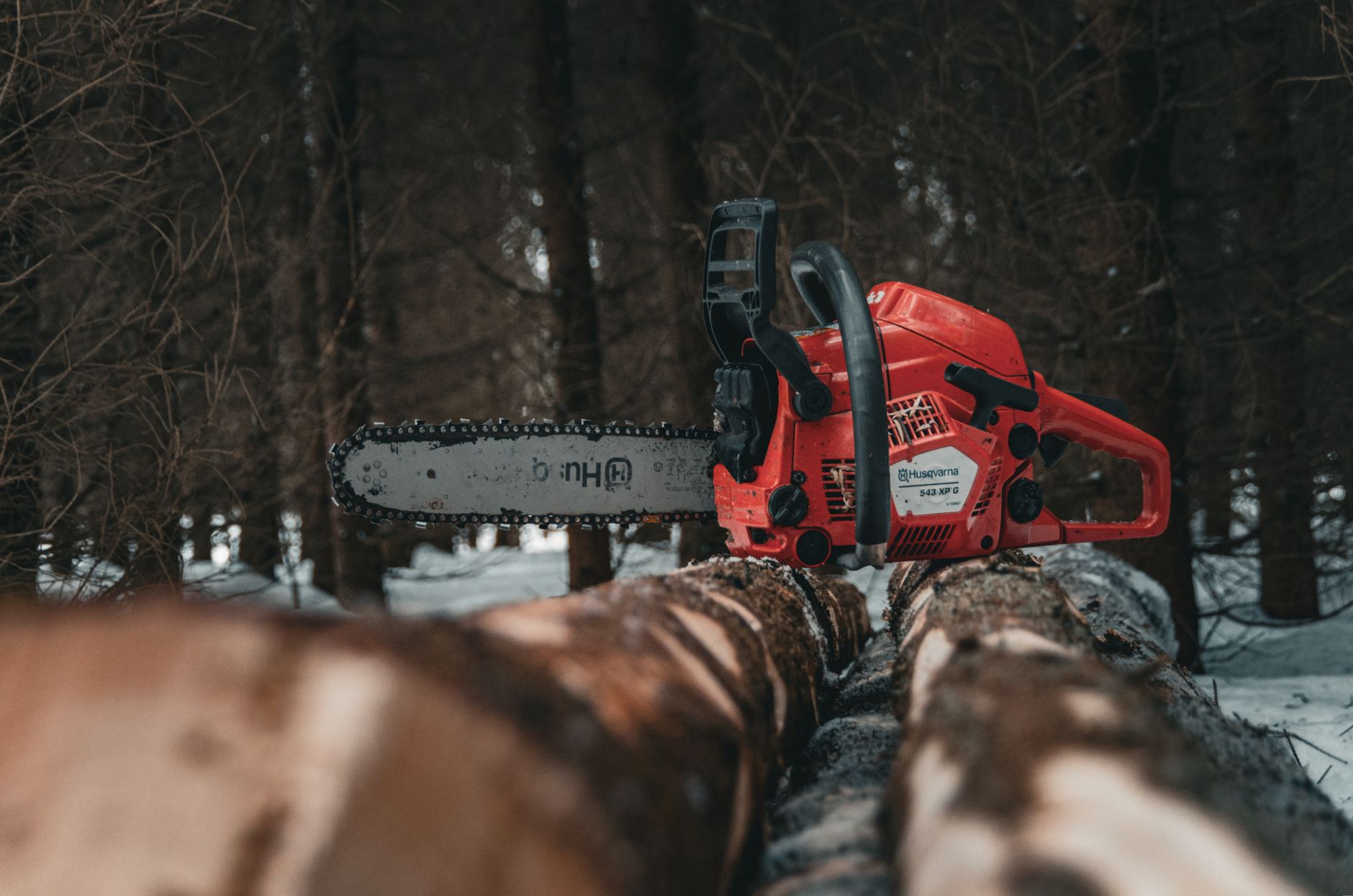 What Does DL Mean For A Chainsaw Chain?