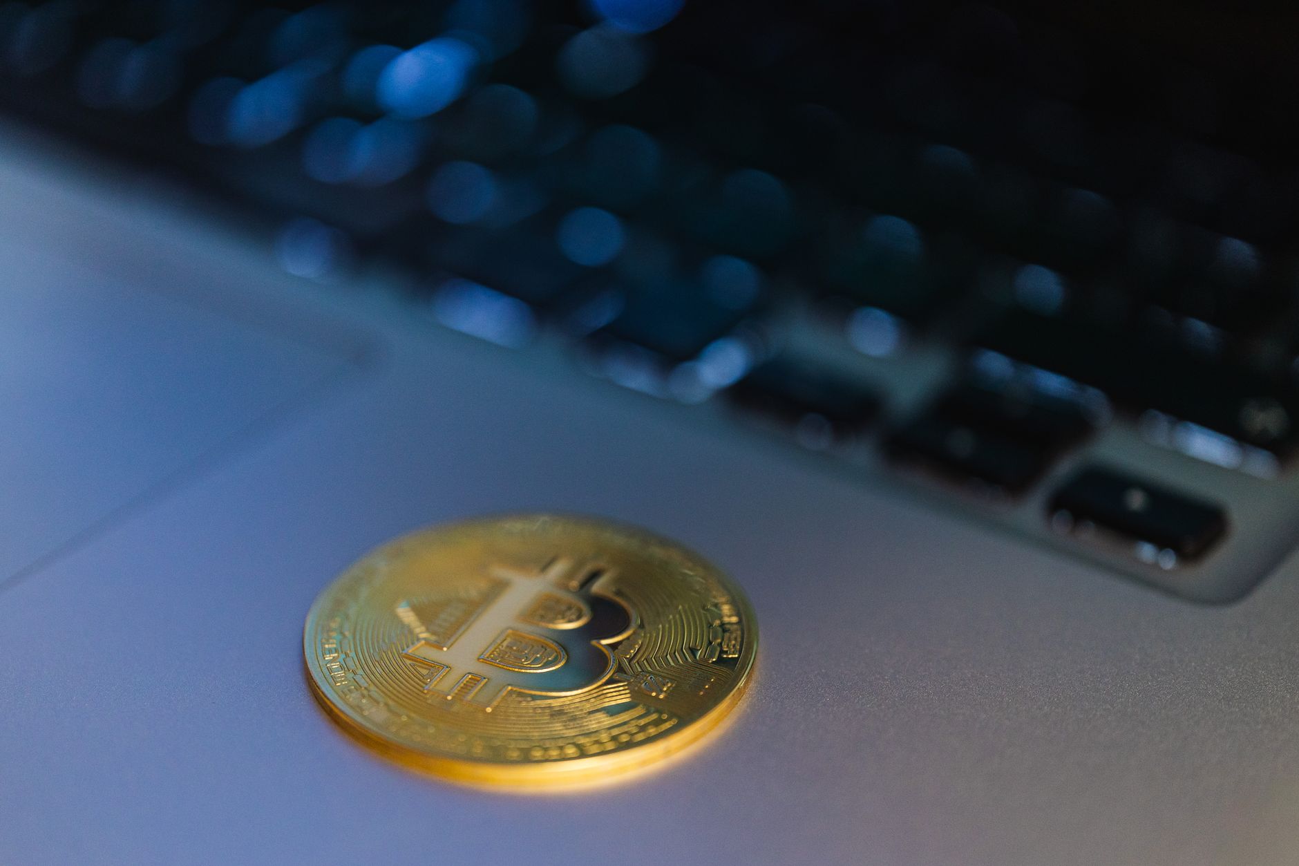 Crypto investors still think they're going to get filthy rich, study finds