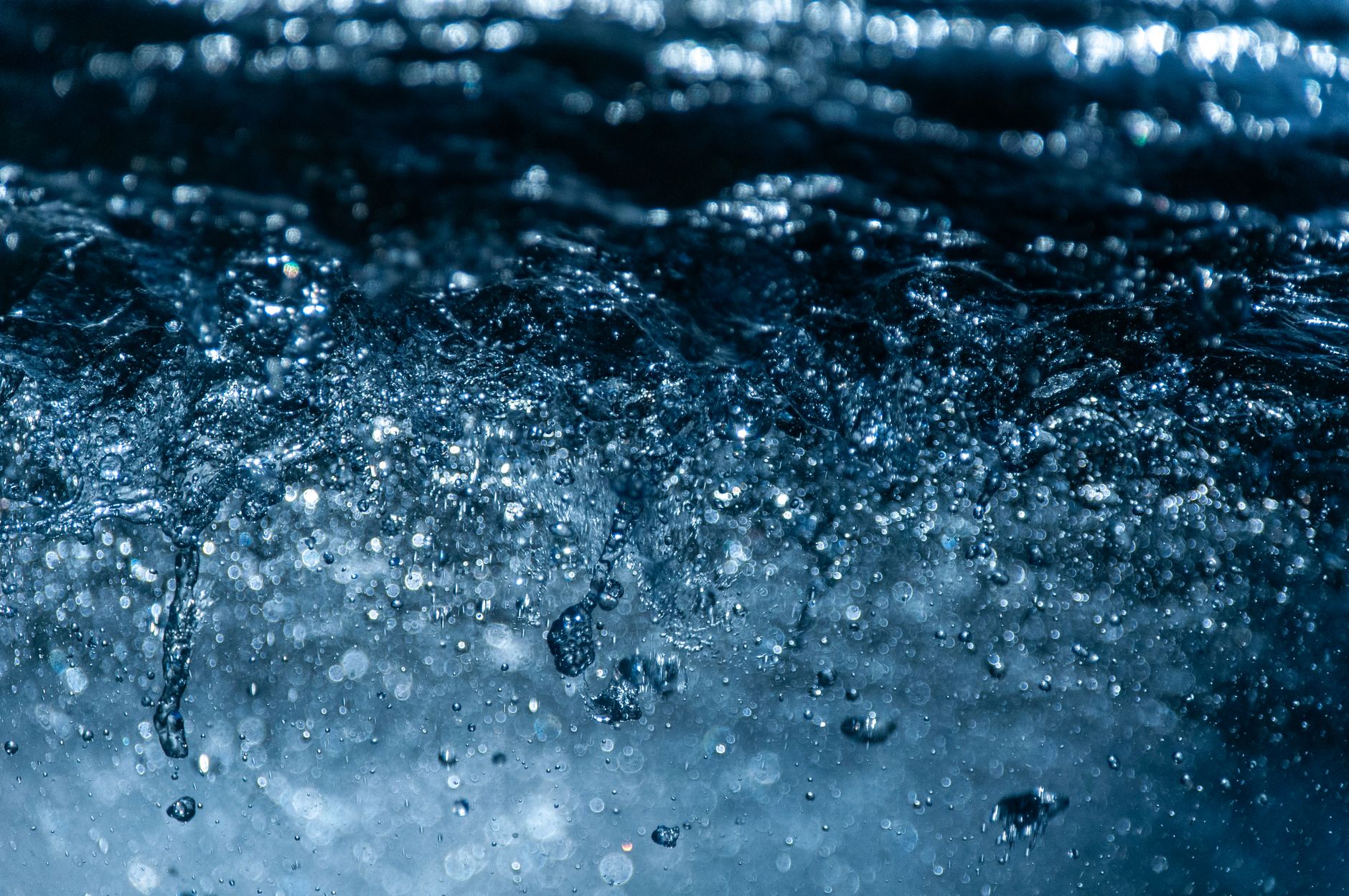 Best Water Leak Detectors (2026): Moen, Phyn, TP-Link